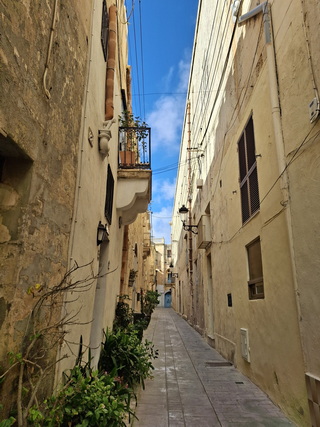 1000043868 resize